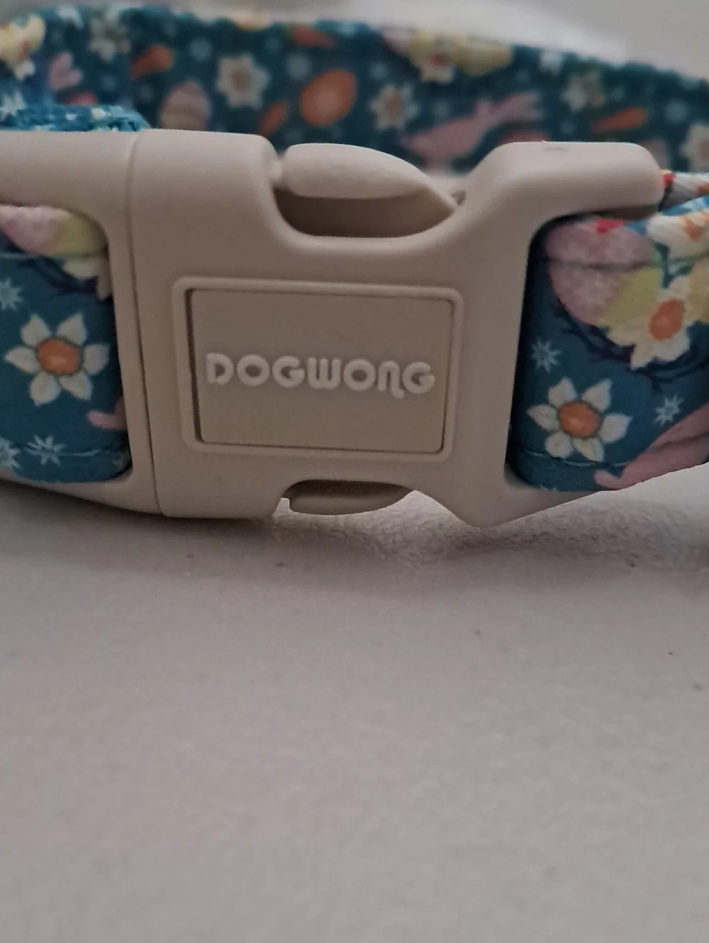Dogwong Floral Easter Print Pet Collar in Teal